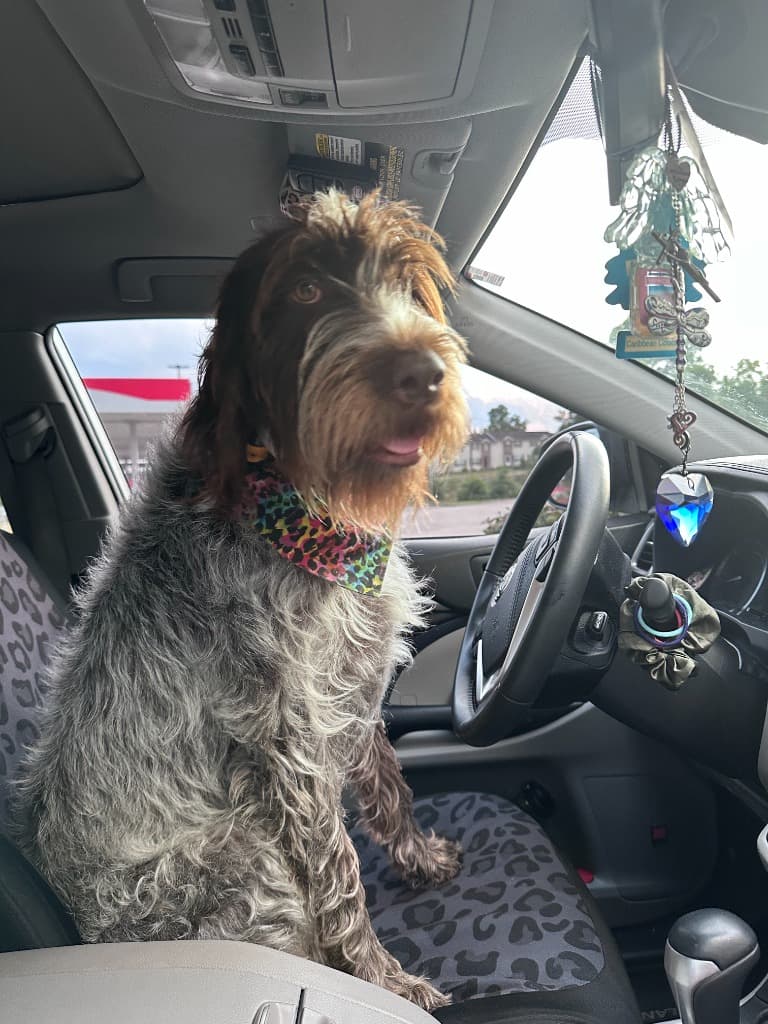 Rocky - 2025 Champion